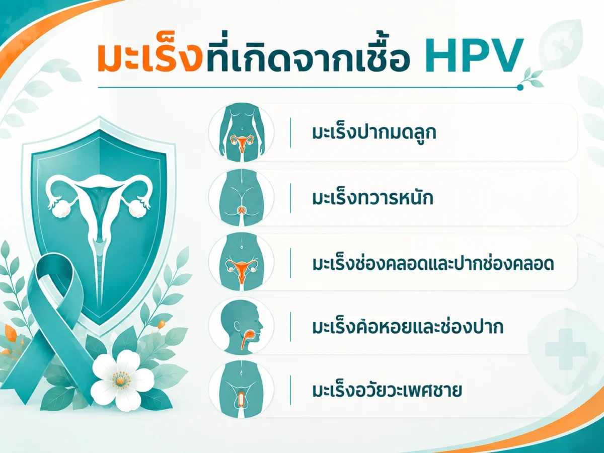 รูป infographic บอกถึงมะเร็งที่เกิดจาก HPV